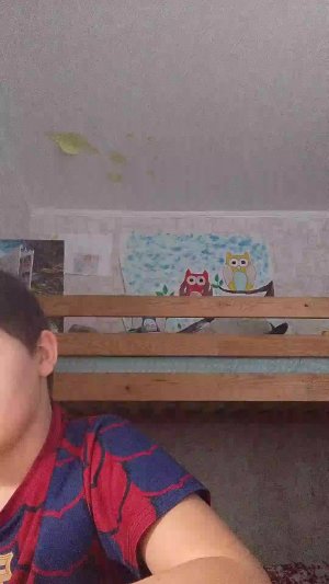 делаю уроки (русский)