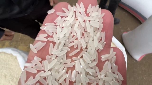 xorazim xazarasp oʻptim gurunch narxlari 3 fevral смотреть онлайн