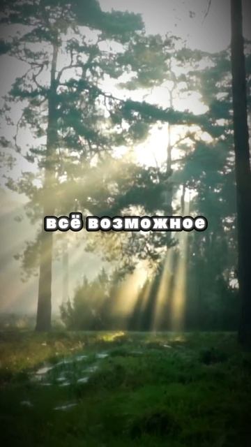 Просто действуй по плану смотреть онлайн