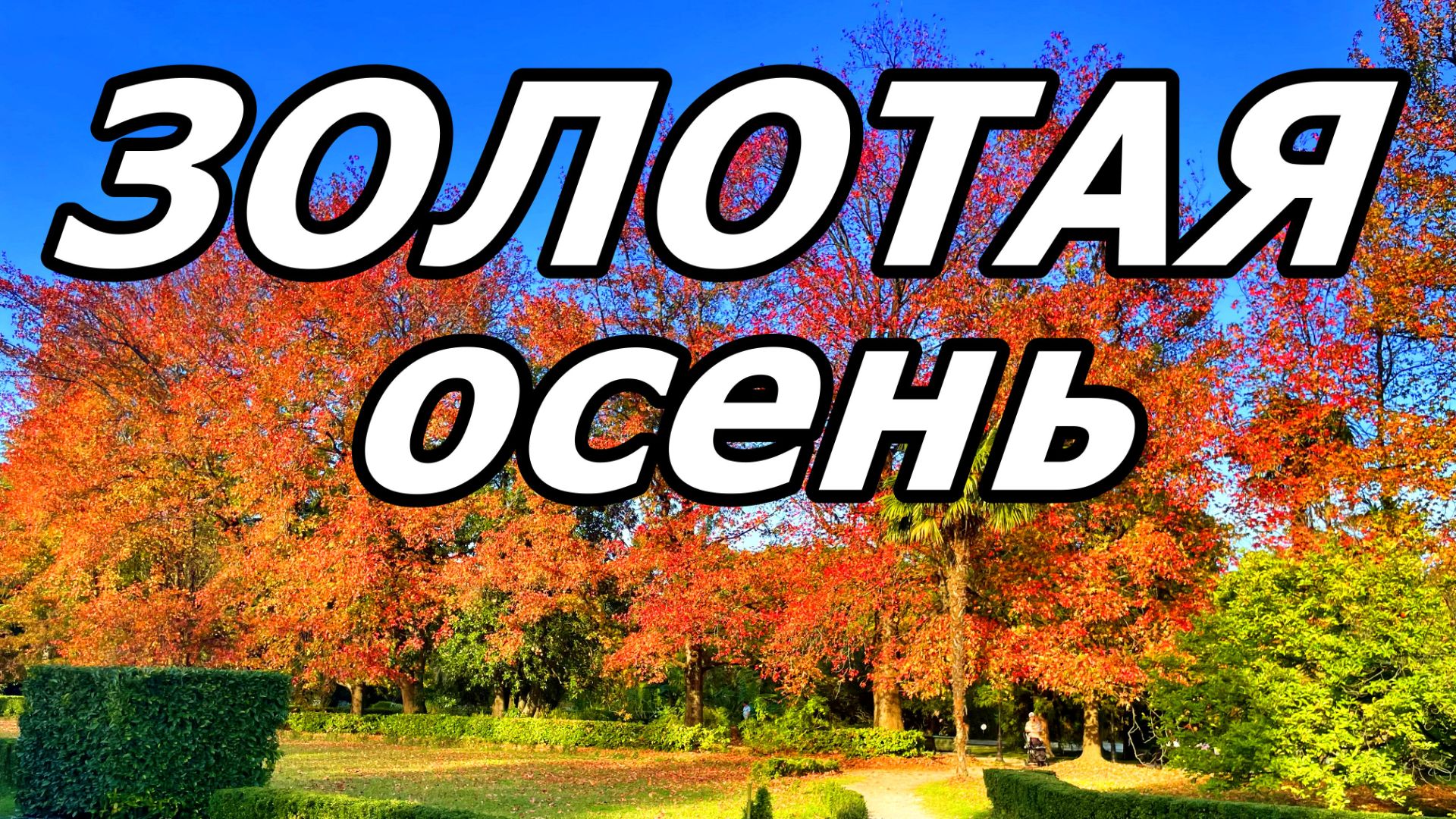 🍁 НОЯБРЬ В СТИЛЕ 🌴 ЮЖНЫХ КУЛЬТУР. КРАСКИ,КОТОРЫЕ НЕ СМЫТЬ! ЯРКАЯ ОСЕНЬ АДЛЕРА. 23 НОЯБРЯ 2025 ГОДА смотреть онлайн