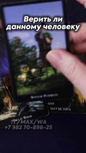 Верить ли данному человеку? Таро