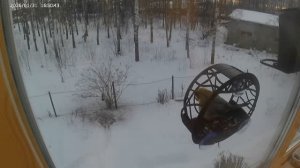 Балдуин и Шар-Синица ужинают