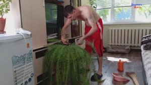 Небольшая уборка