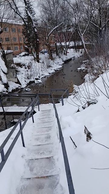 Тропинками местных блогеров Тамбова идем мимо речки к мостику смотреть онлайн