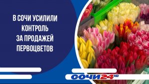 В Сочи усилили контроль за продажей первоцветов