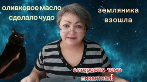 ВСЁ КАК ПО МАСЛУ / ЗЕМЛЯНИКА ПРОКЛЮНУЛАСЬ