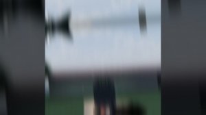 ПРАВА КУНГФУ ДАРИНЫ