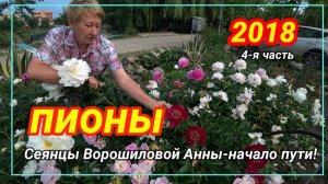 СЕЯНЦЫ АННЫ ВОРОШИЛОВОЙ-4 ЧАСТЬ/САД ВОРОШИЛОВОЙ