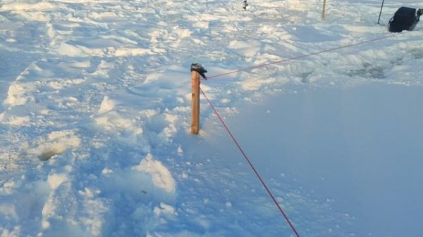 video5192960900788684372