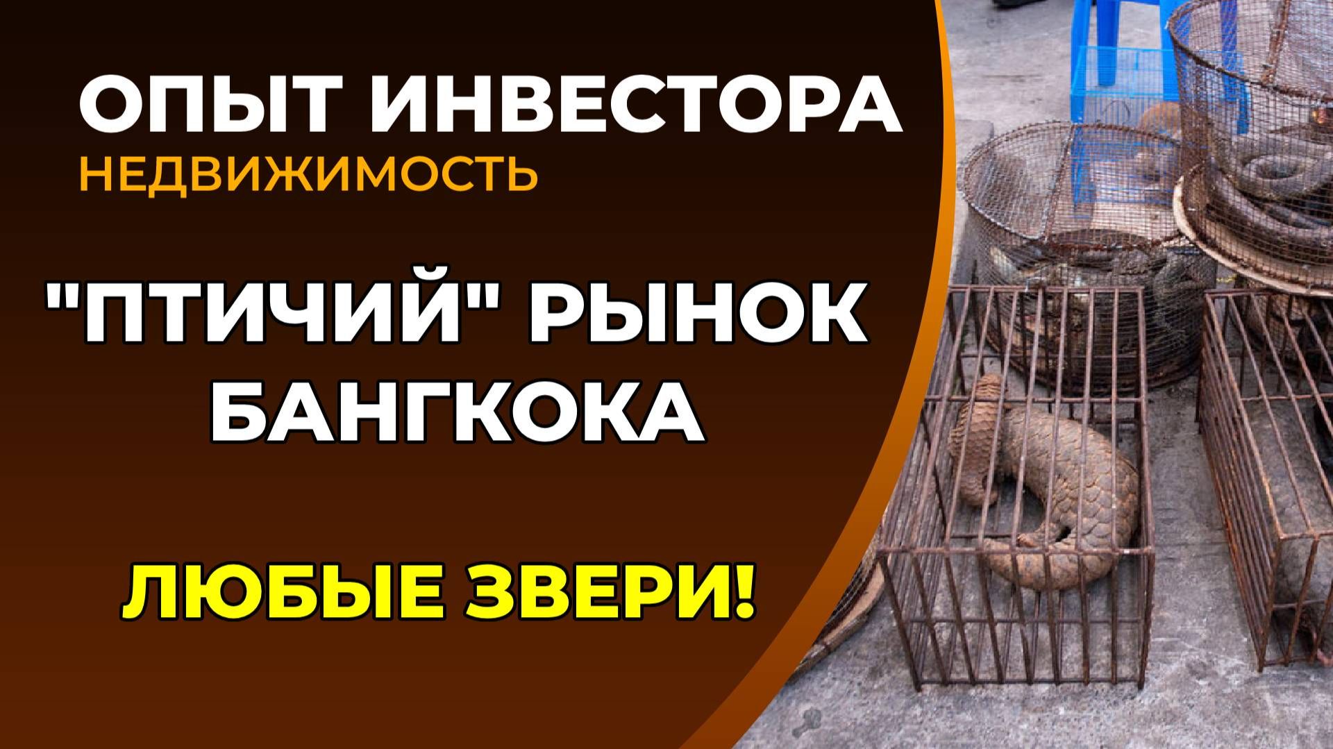 Рынок животных Бангкока 2026. Самые неожиданные звери смотреть онлайн