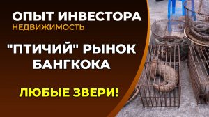 Рынок животных Бангкока 2026. Самые неожиданные звери