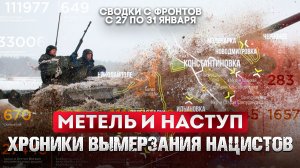 Метель и наступ.  Хроники вымерзания нацистов