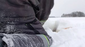 Мы не ожидали такого улова!!! проверяем самоловки на хищную рыбу