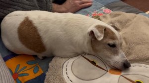 Диванный храпун 😂