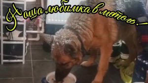 Ейск ! Преображение столовой в части купеческого дома у залива продолжается и немного о разном.