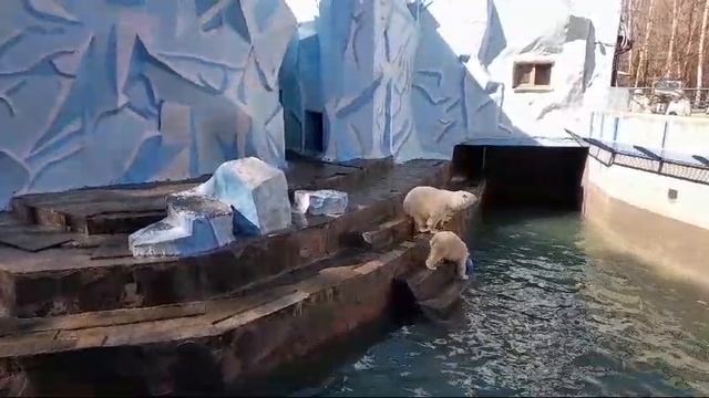 Герда и медвежата Белка и Стрелка