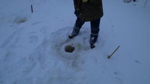 Глухозимье на малой речке