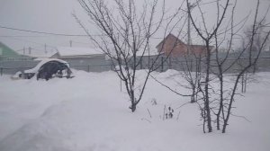 Зима по Самарской области ❄️🌨️✌️🗣️