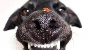 Польза мата