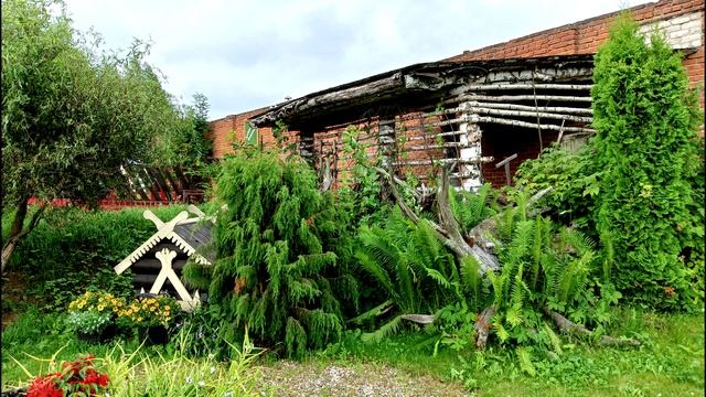 Кострома 2023 ФИЛЬМ