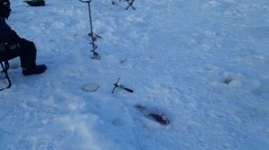 Видеосюжет с водоёма