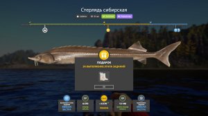 Русская Рыбалка 4-Новогодние Экстра Задания 2026: Стерлядь сибирская р. Нижняя Тунгуска