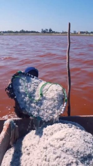 Соленое озеро Ретба, Сенегал.