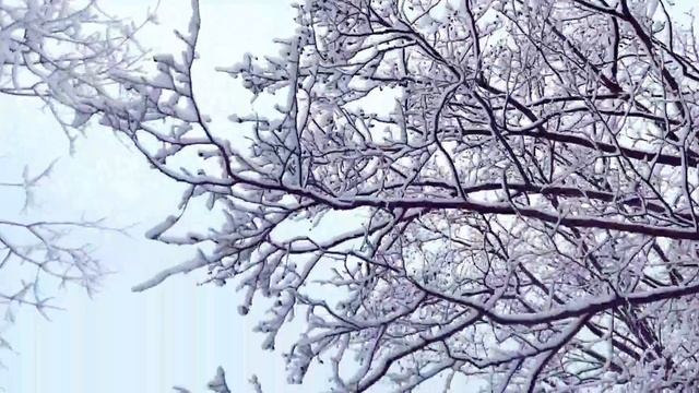 Снегом стать