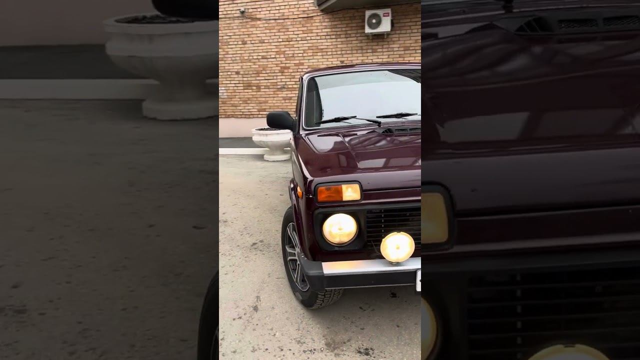 5 декабря 2024 г.