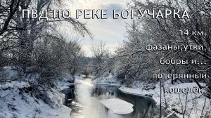 ПВД по реке Богучарка 14 км, фазаны, утки, бобры и... потерянный кошелёк