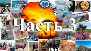 Часть 3. Как влюбиться в Африку за 2 недели