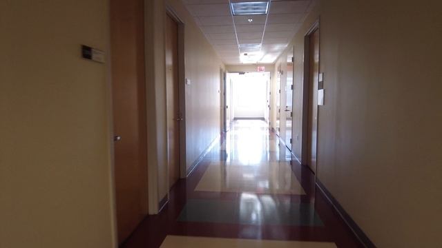 Как поступить в университет в США смотреть онлайн