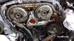 Причина плохого холодного запуска и дымления — перескочившая цепь,  Ford Transit 2.4TDCi D2FA