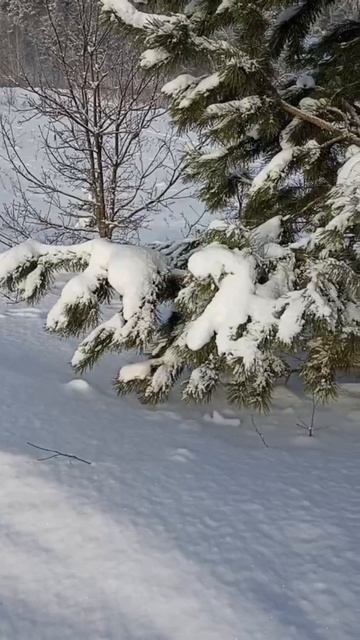 Тихий берег р.Вятки в январе.