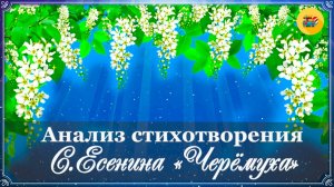 📝 Анализ стихотворения «Черемуха» С. Есенина  | 3 класс