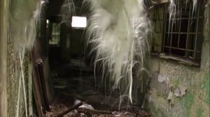 Вюнсдорф 2011г. 3-й городок (Ранет).