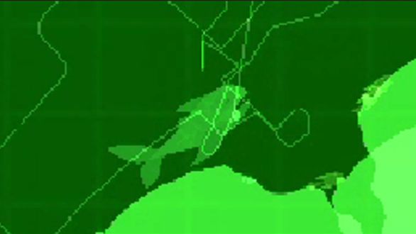 Ловись Cave Shark, ловись! Cat goes fishing.