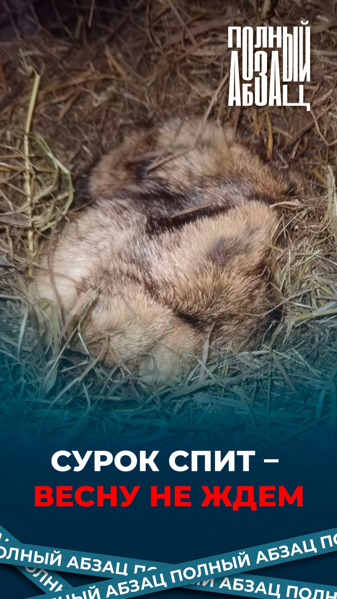 Сурок Филимон спит – весну не ждем смотреть онлайн