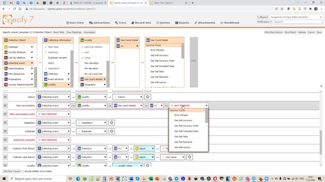 13_Импорт в WB Specify 7