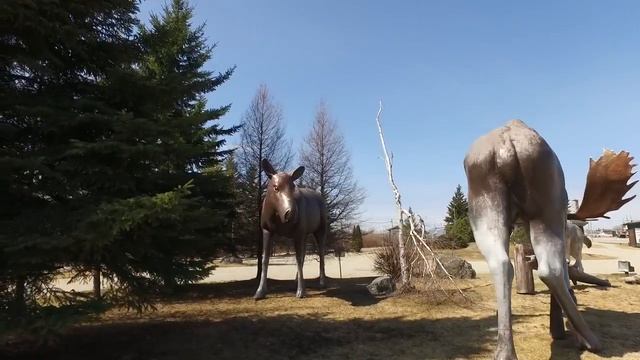 Воспоминания (май 2017): рассказываю про канадскую жизнь в одной из деревни. смотреть онлайн