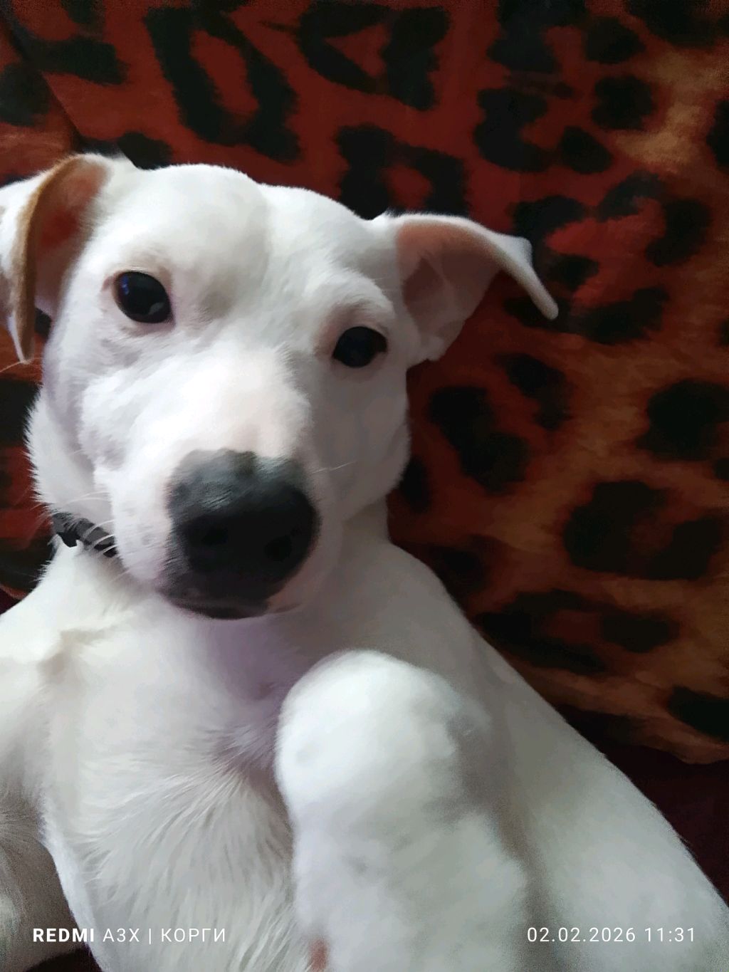 рич смотреть онлайн