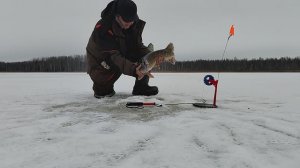 Первый трофей сезона 2026.