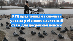 В ГД предложили включить уход за ребенком в льготный стаж для досрочной пенсии