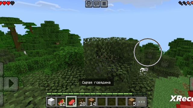 Играю в майнкрафт на тл