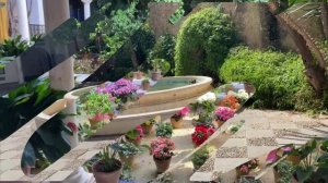 Цветущие дворики Севильи