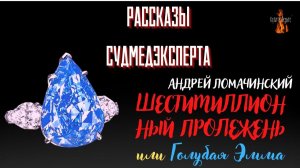 Рассказы Судмедэксперта: ШЕСТИМИЛЛИОННЫЙ ПРОЛЕЖЕНЬ или Голубая Эмма (автор: Андрей Ломачинский).