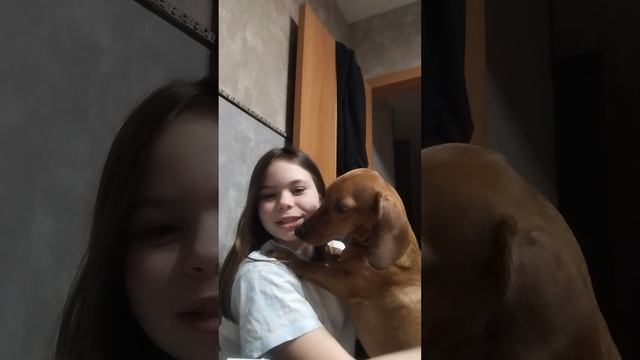 история про глупых одноклассников с моей собакой смотреть онлайн