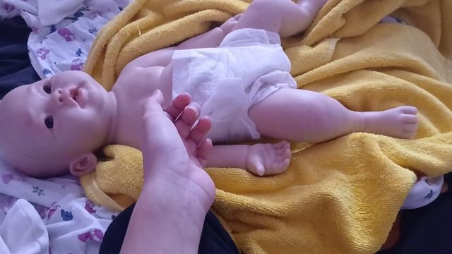 Влог С реборном