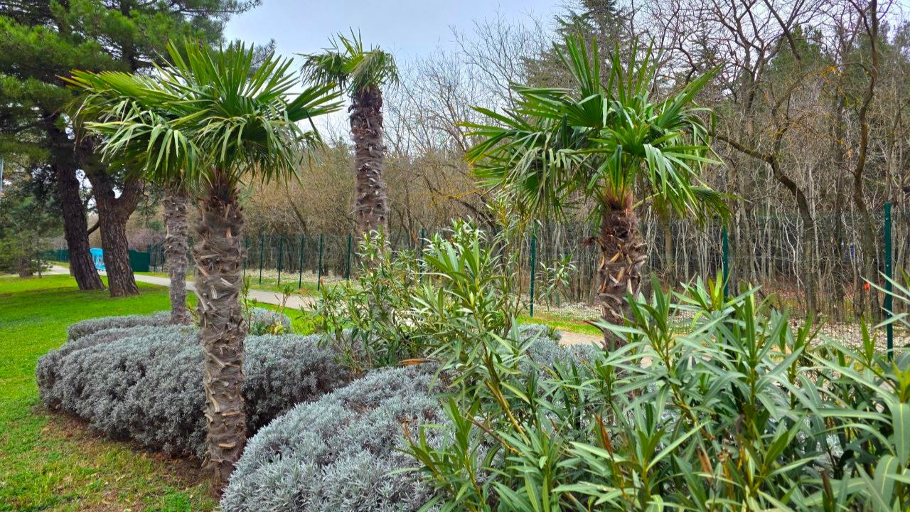 ЛЕДЯНОЙ ШТОРМ ОБОШЕЛ СТОРОНОЙ ГЕЛЕНДЖИК! ПОГОДА 3.02.2026 смотреть онлайн