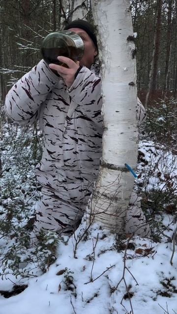 лечебный берёзовый сок